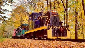 Fall Train Rides