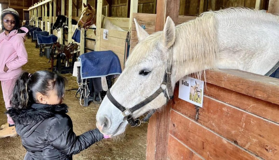 A Horse's Friend