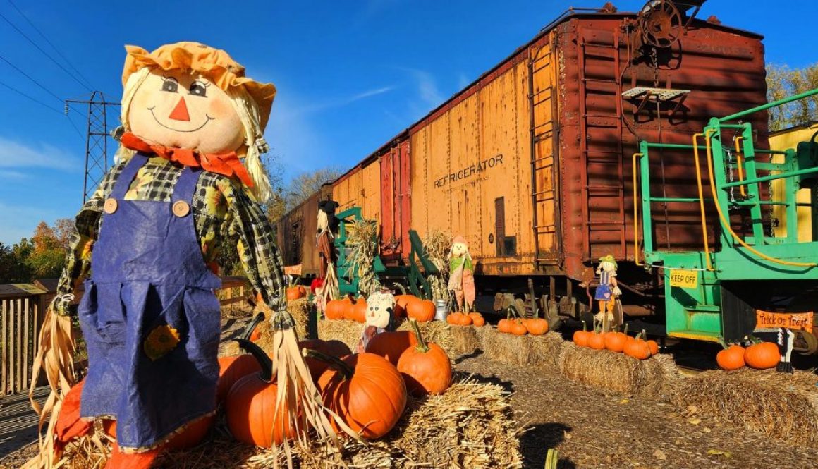 Pumpkin Patch